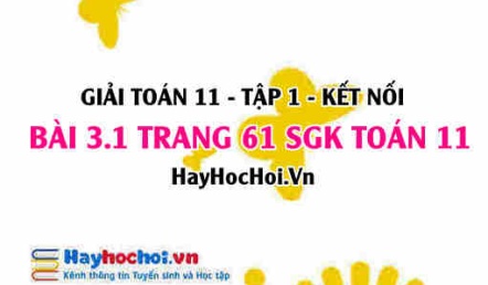 Giải bài 3.1 trang 61 Toán 11 tập 1 SGK Kết nối tri thức